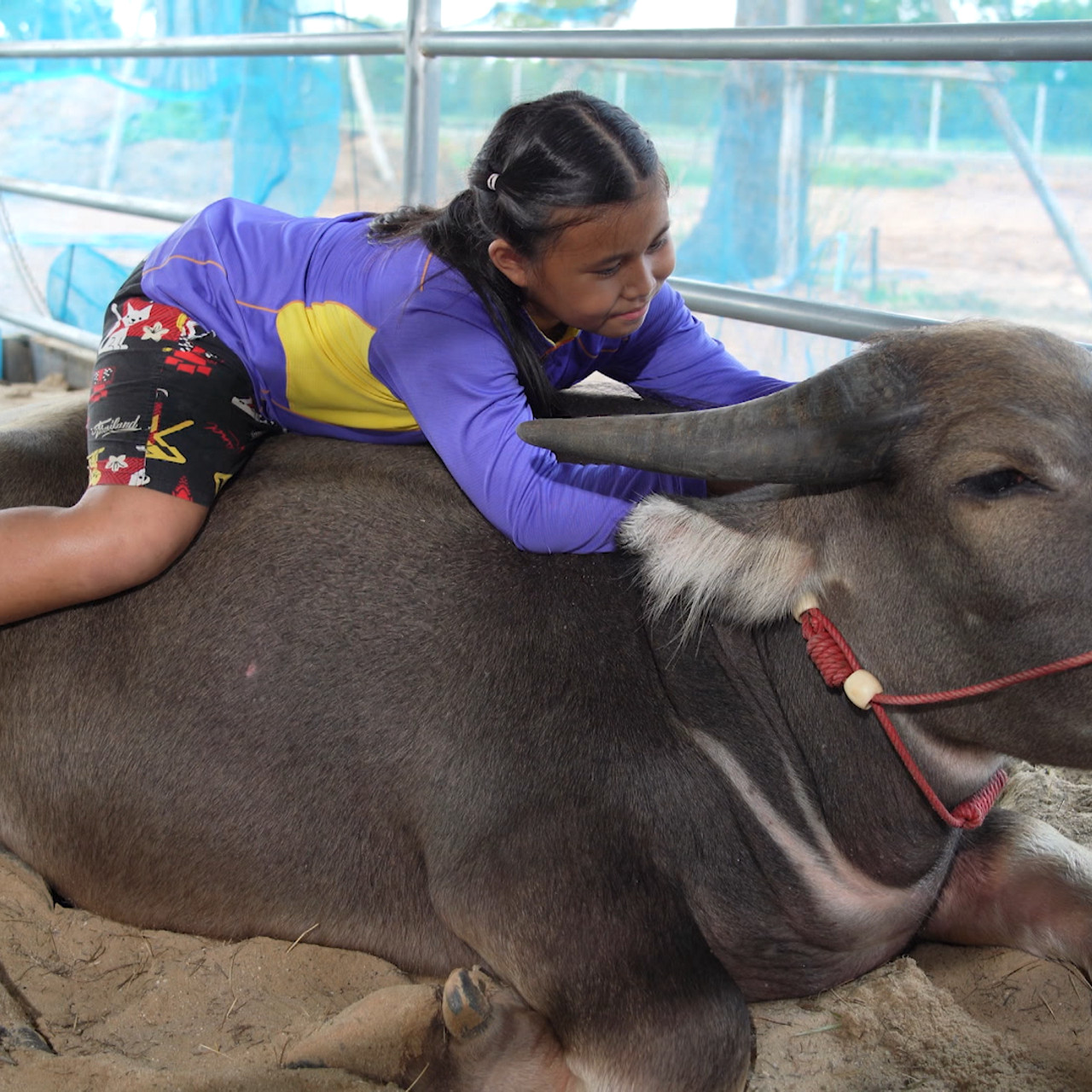 Proudเว่อร์_680822_3