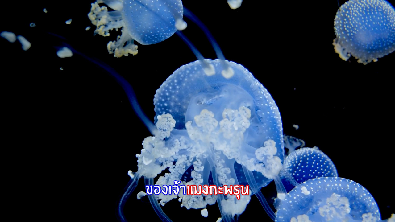 KidRangers681115_1