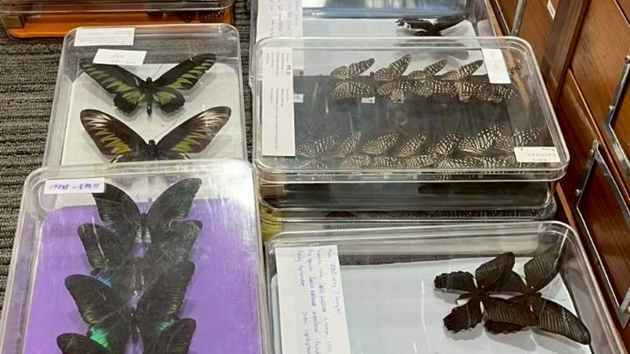 LINE_ALBUM_ep9_251029_2