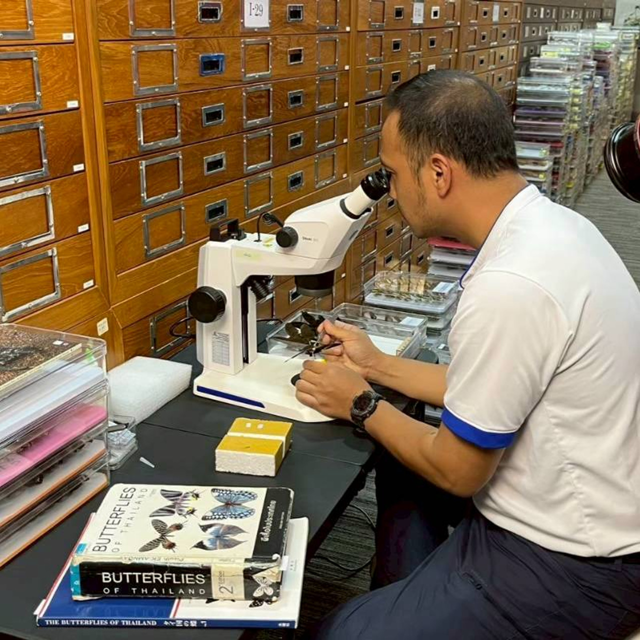 LINE_ALBUM_ep9_251029_3