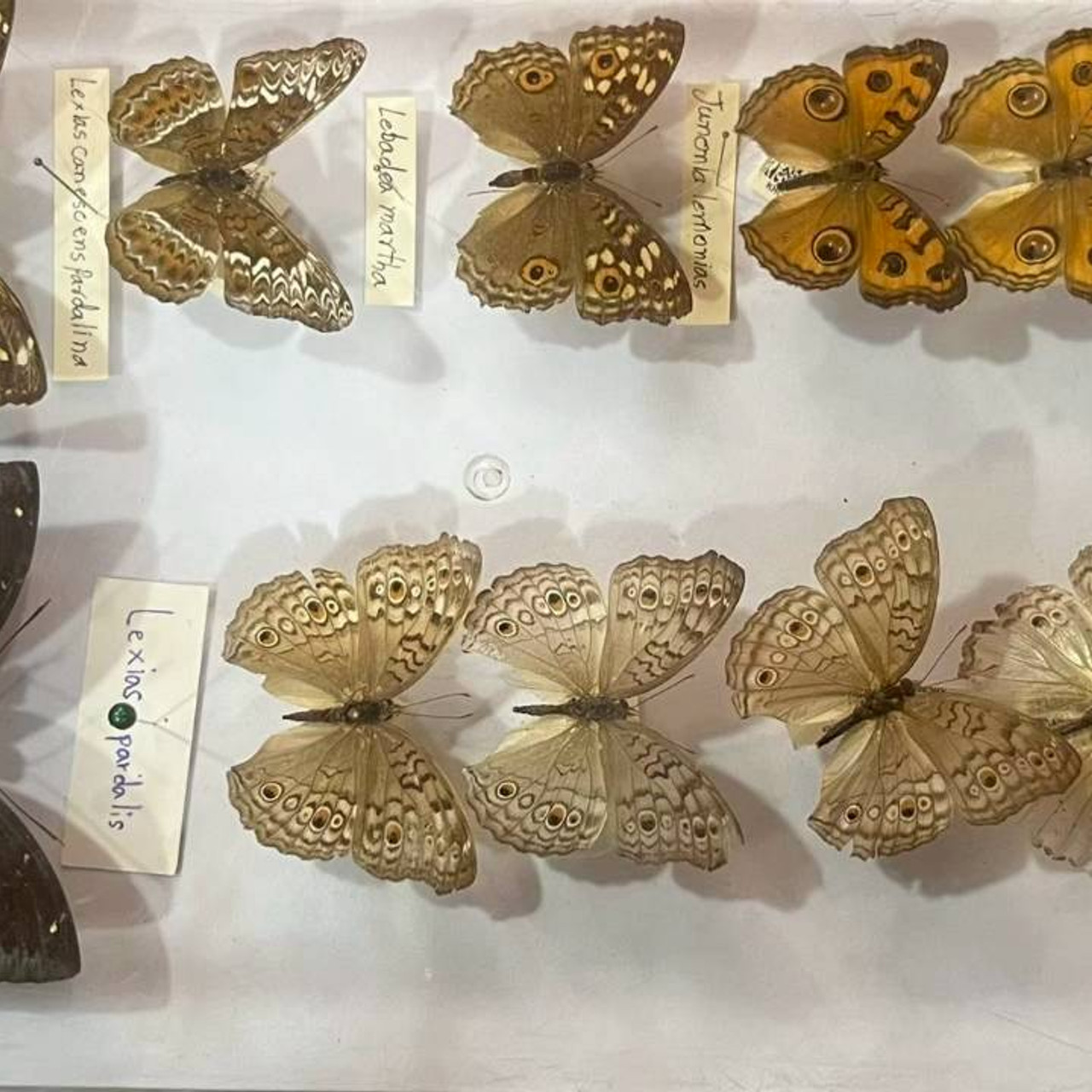 LINE_ALBUM_ep9_251029_1