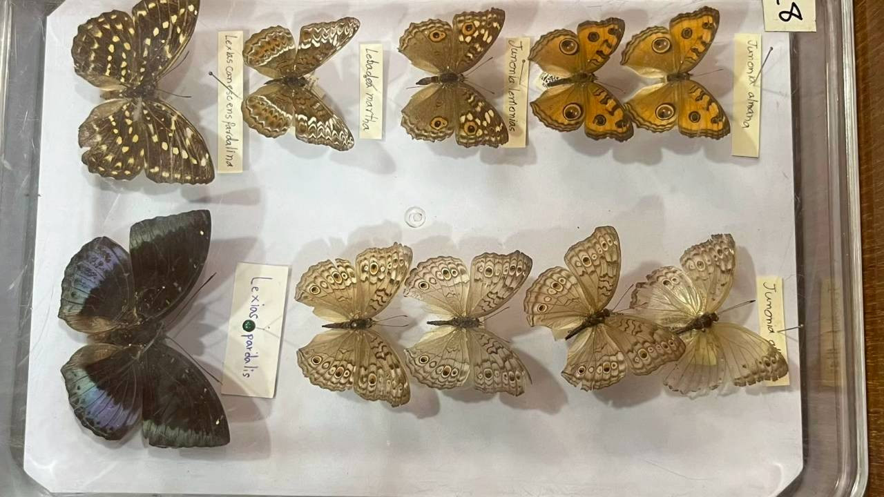 LINE_ALBUM_ep9_251029_1