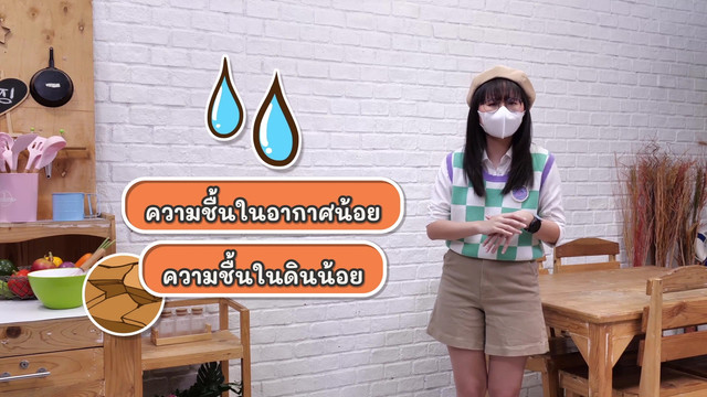 สังคม สนุกคิด