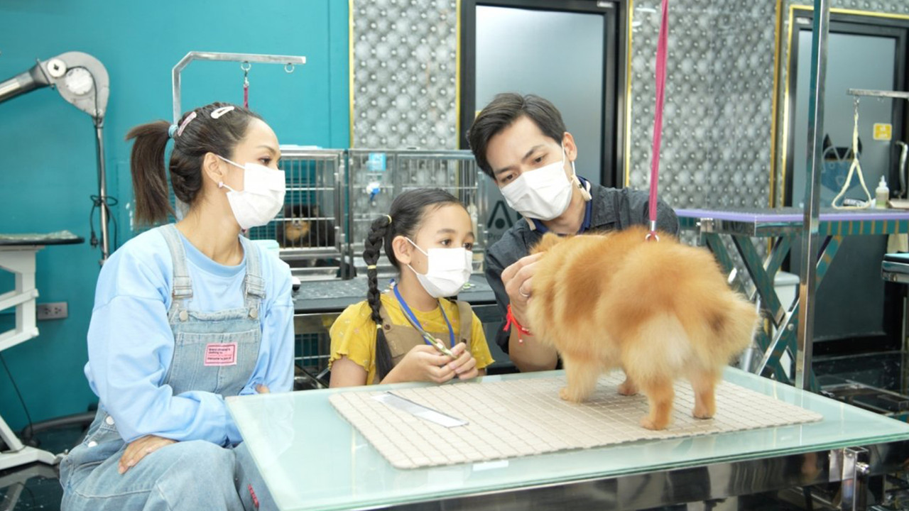 Pet groomer นักตัดแต่งขนสัตว์