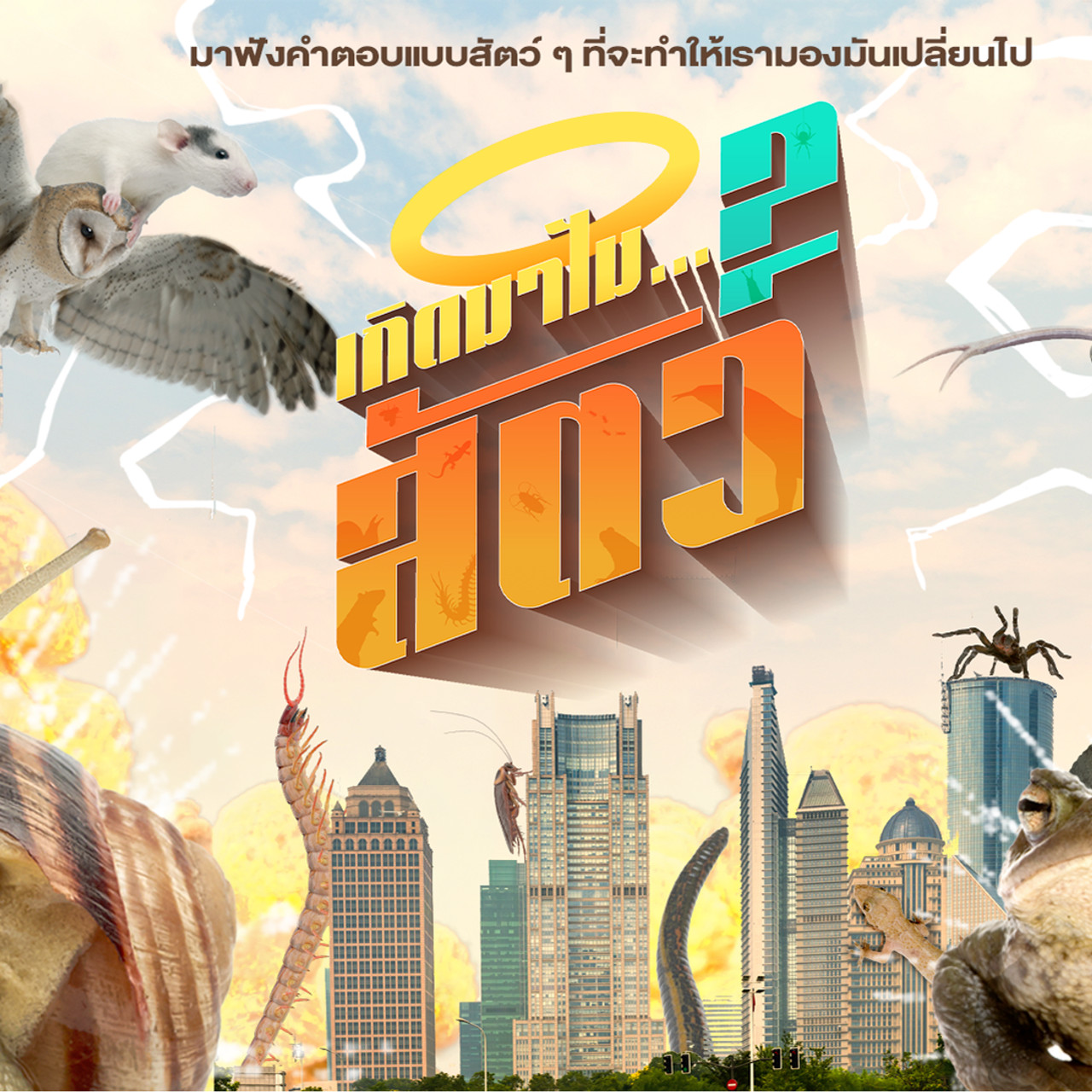 เกิดมาไม... สัตว์