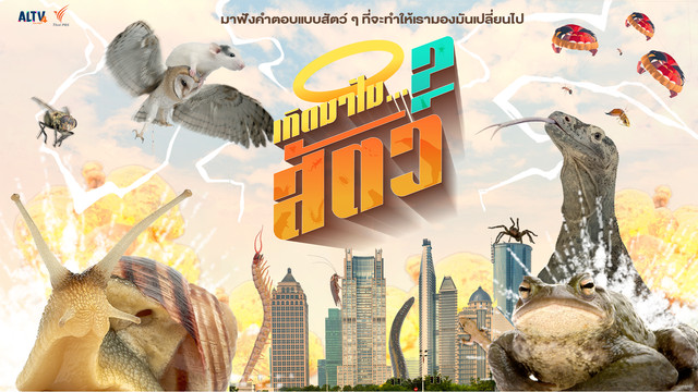 เกิดมาไม... สัตว์