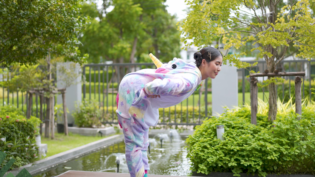 Unicorn