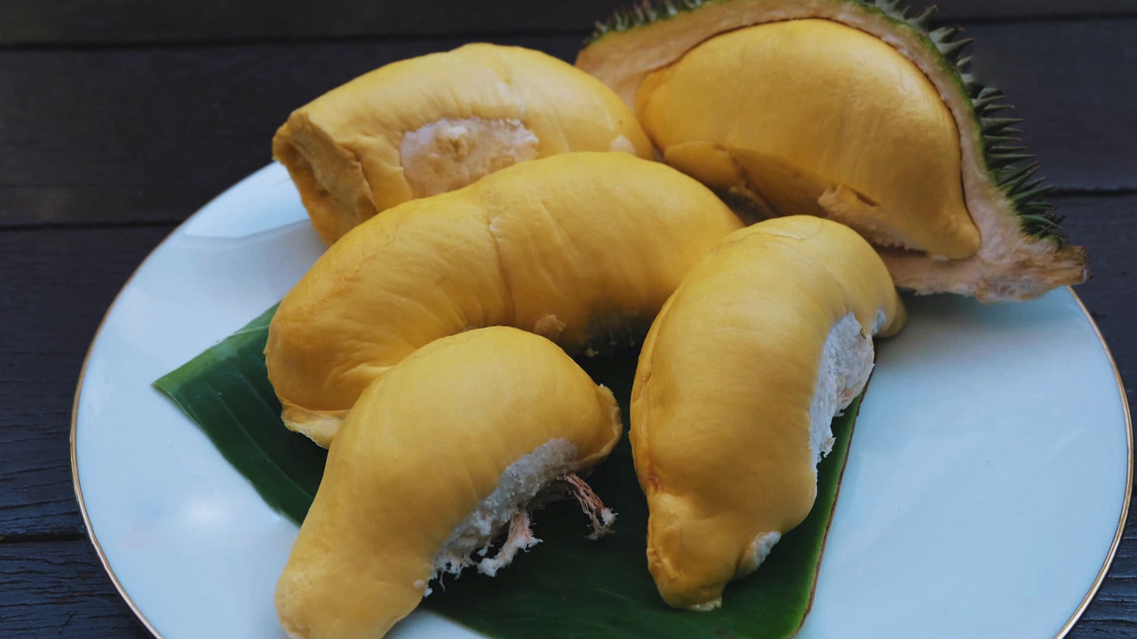 ความหลากหลายทางชีวภาพในสวนทุเรียนนนท์
