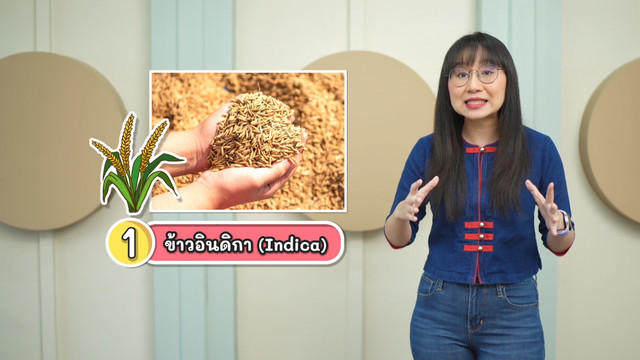 สังคม สนุกคิด