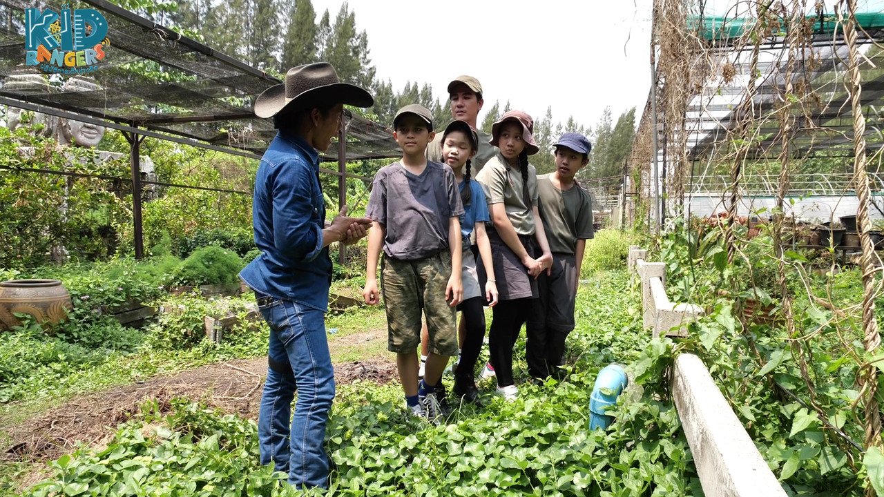 ALTV ช่อง 4 - Farm Maker