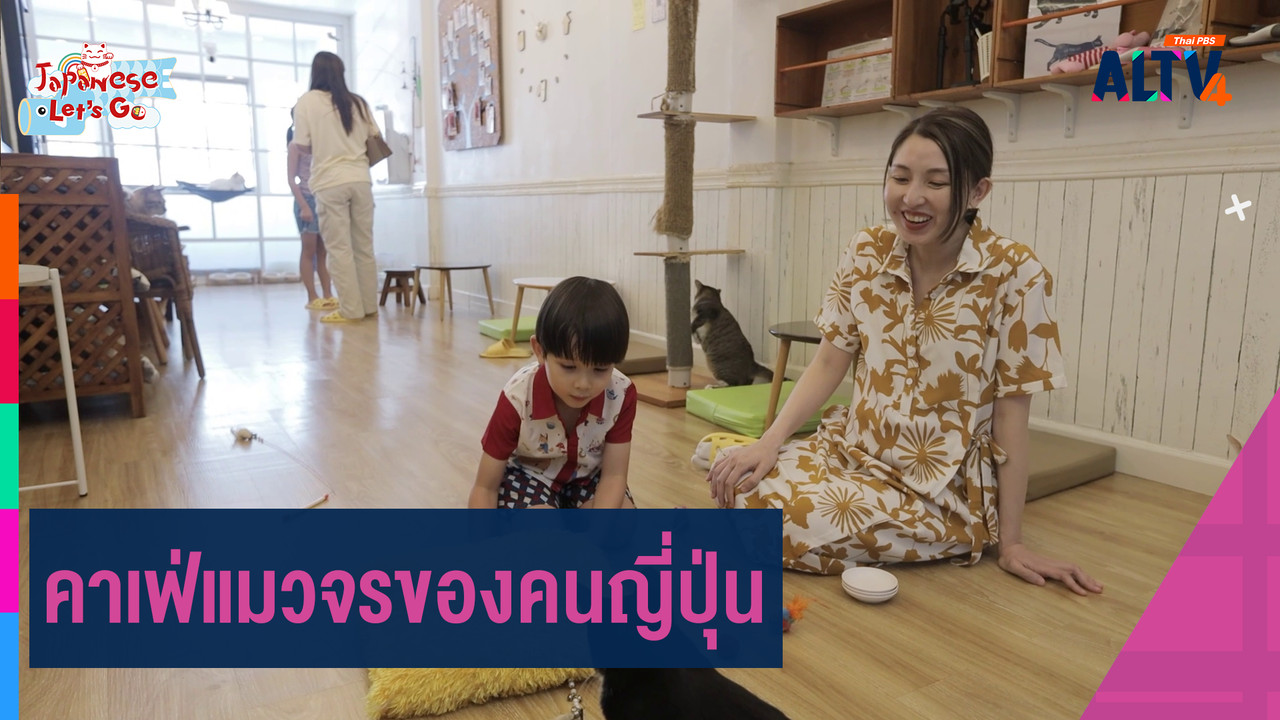 คาเฟ่แมวจรของคนญี่ปุ่น - ALTV ช่อง 4