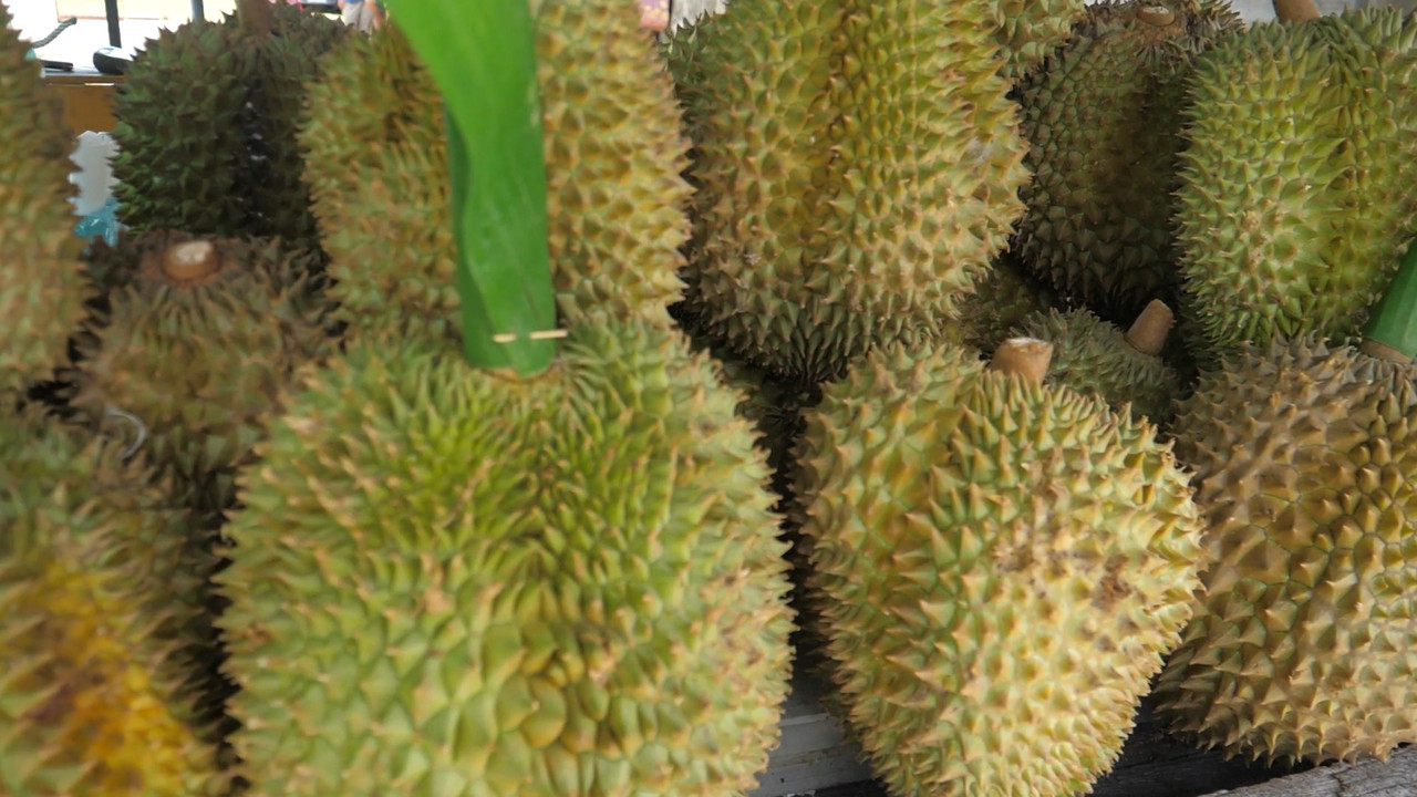 ทุเรียนนนท์ ราชาแห่งผลไม้