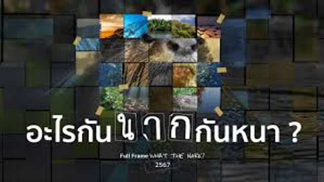 What the NARK? อะไรกันนากกันหนา?