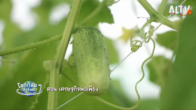โลกกลม ๆ กับครูสังคมของหนู