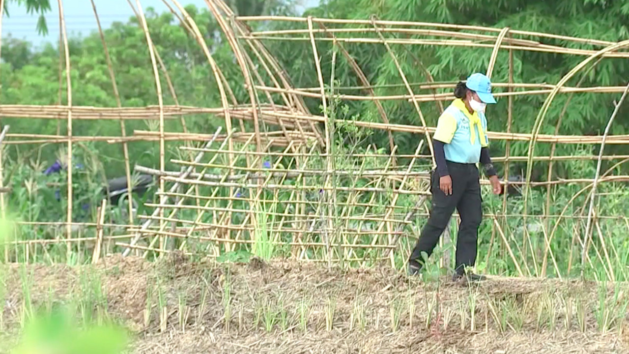 โครงการฟาร์มตัวอย่างฯ ต้านภัยโควิด19
