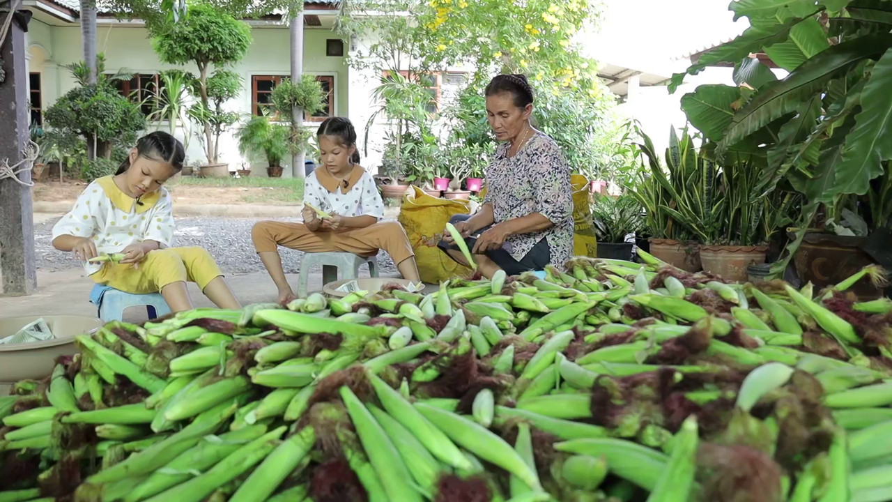 ช่วยตายายทำงานเกษตร