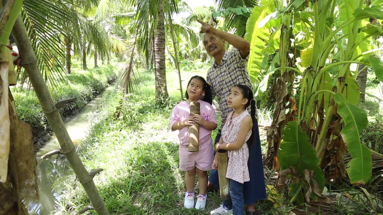 สืบหาประโยชน์ของ "ต้นมะพร้าว"
