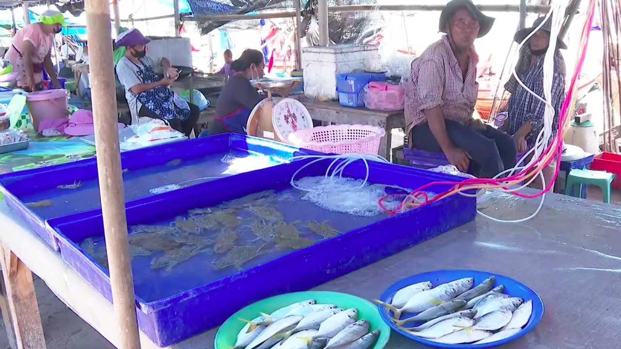 ผลกระทบร้านขายอาหารทะเลระยอง
