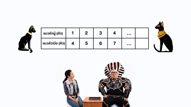 WHY ROOM ? ห้องพิเศษใส่ไข่