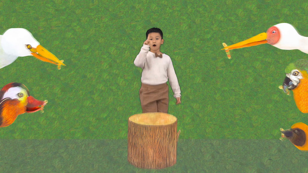 มะมาท้าตั้งไข่