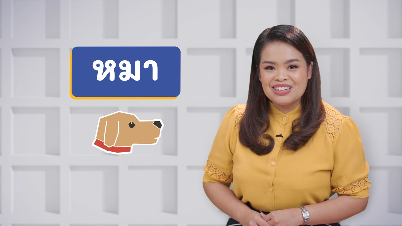 ม หมา