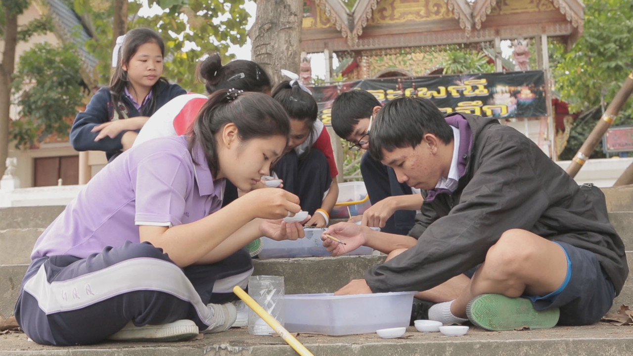 ตัวอ่อนของแมลงปอเข็มธรรมดา