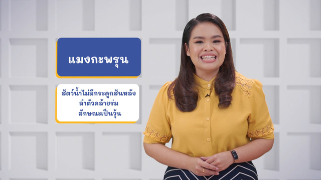 ภาษาไทยไม่จำกัด