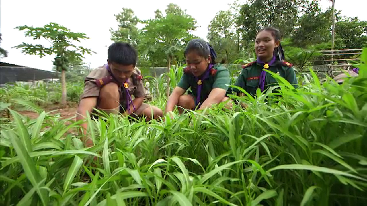 200 มื้อ ปั่น ปลูก เปลี่ยน เพื่อความมั่งคงทางอาหารในโรงเรียน
