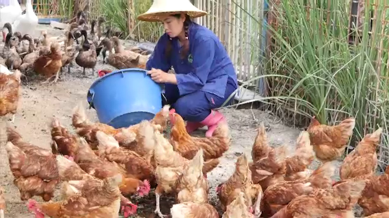 บ้านกระถิน เกษตรอินทรีย์หัวใจพอเพียง