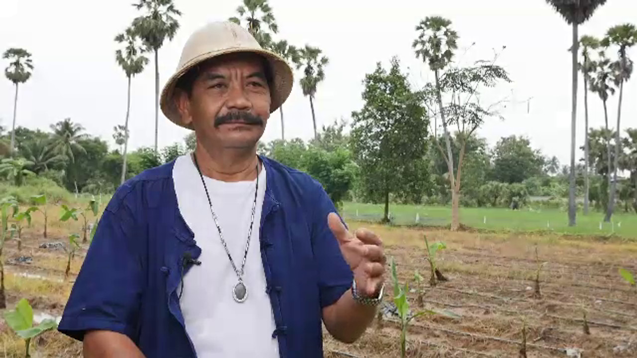 ทุ่งนา-ป่าตาล บ้านไร่กร่าง