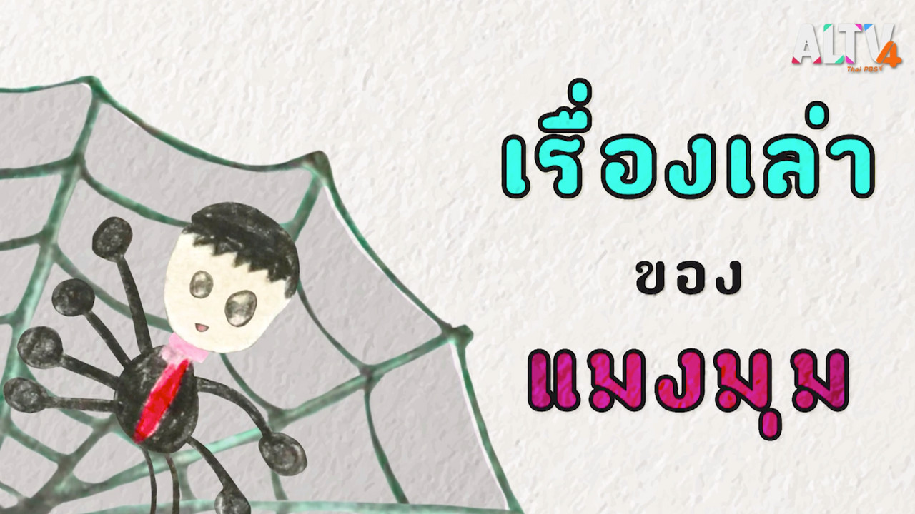 เรื่องเล่าของแมงมุม