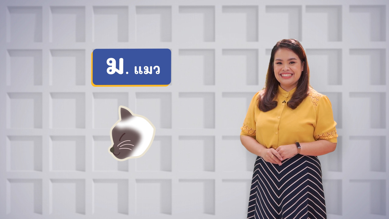 ม แมว