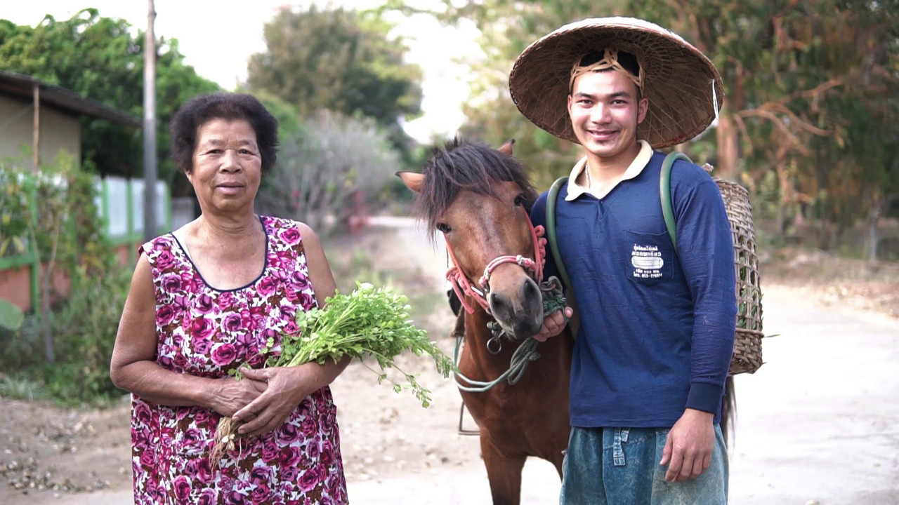 "แดน" คนพื้นบ้าน ม้าพื้นเมือง