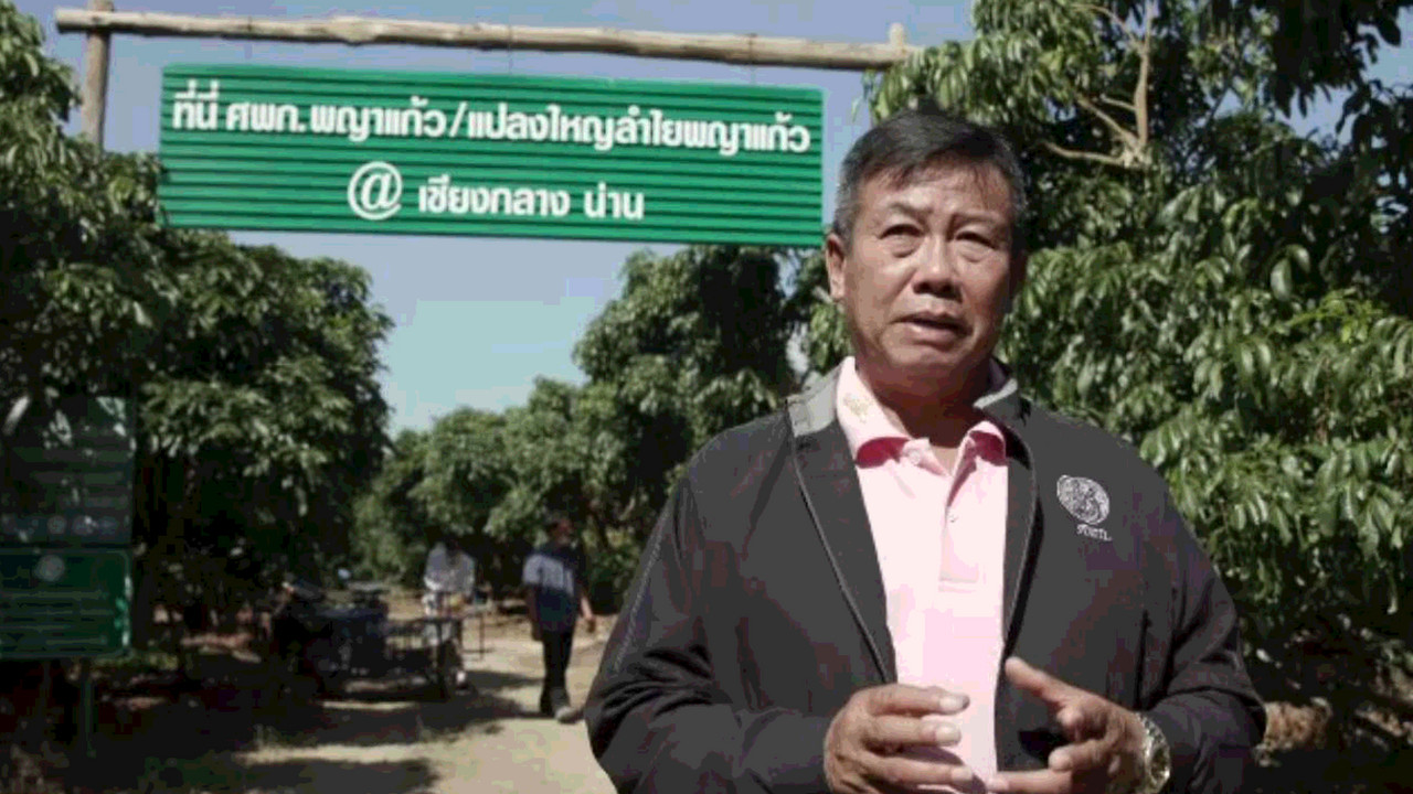 เรียนรู้ลำไยแปลงใหญ่สร้างรายได้เท่าตัว จ.น่าน
