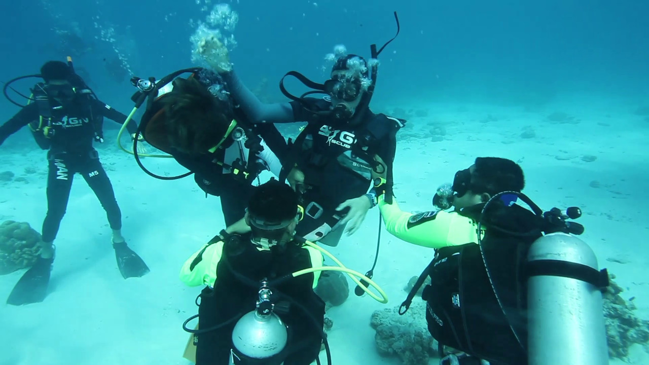 แคมป์ Together we dive จับมือไว้แล้วดำไปด้วยกัน ตอนที่ 1