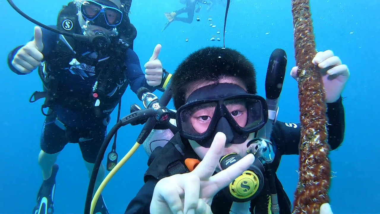 แคมป์ Together we dive จับมือไว้แล้วดำไปด้วยกัน ตอนที่ 4 
