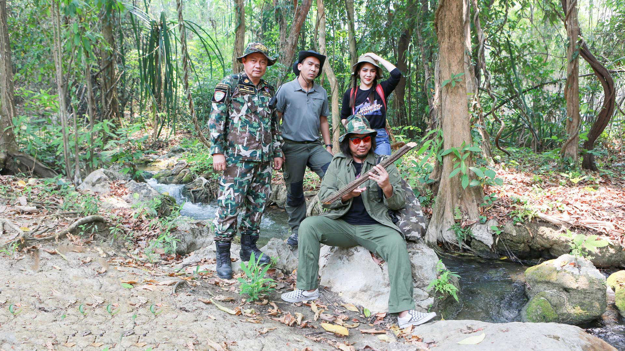 หลงป่า : วิธีเอาตัวรอดในป่า