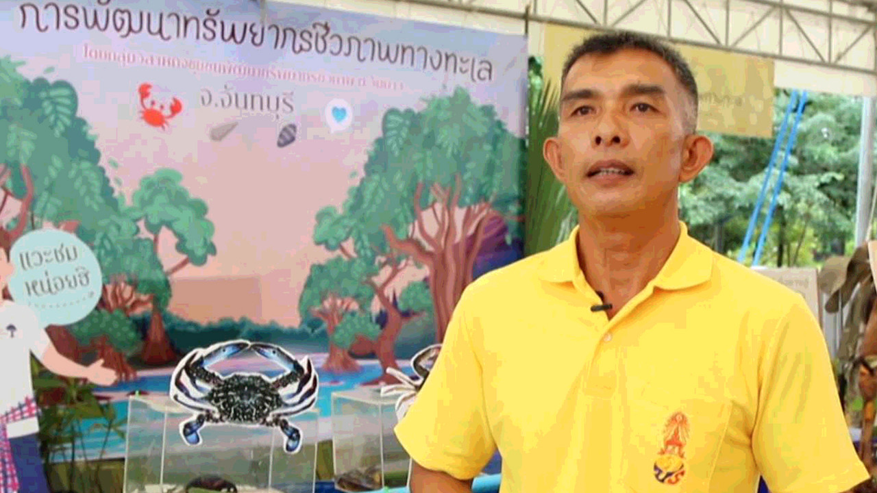 ธนาคารปู
