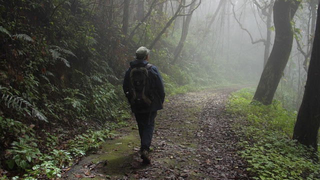 อ่านป่ากับหมอหม่อง