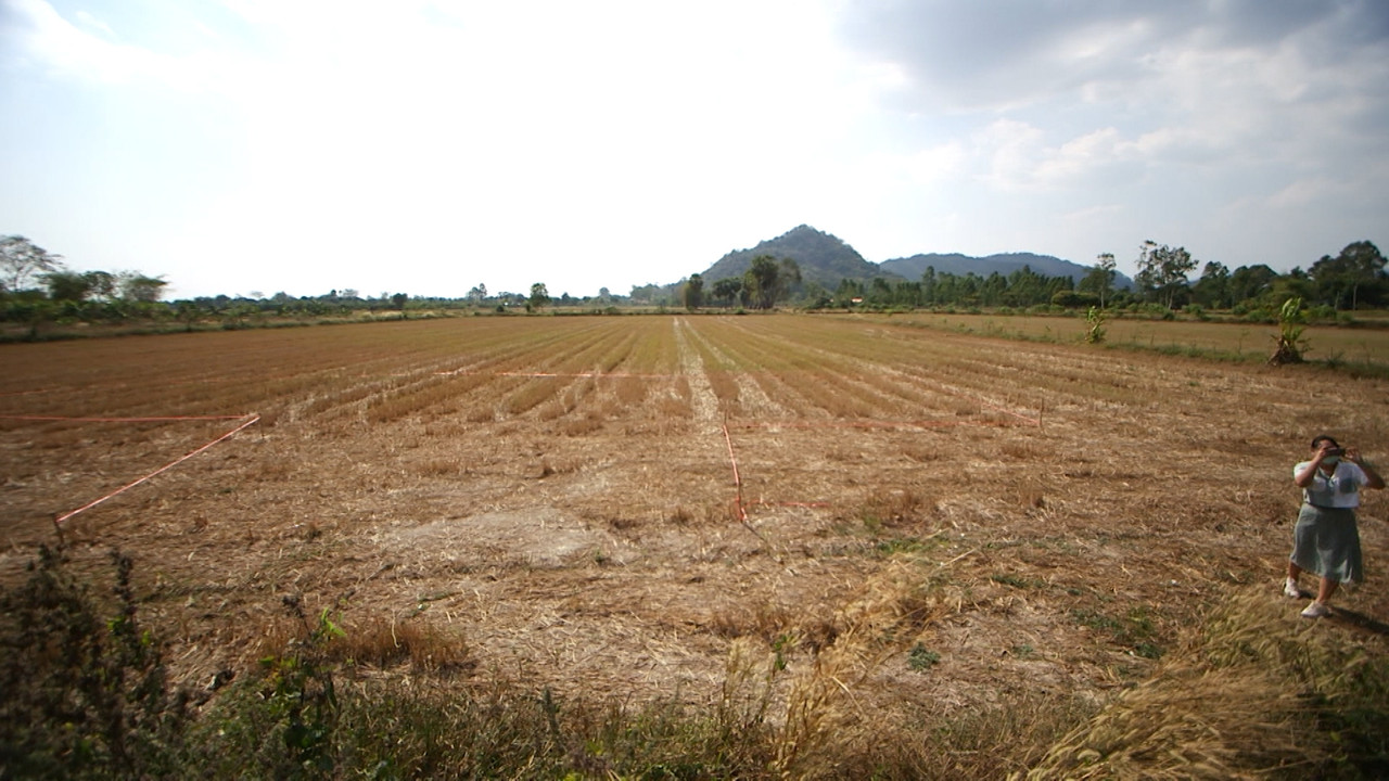 ปรับที่ดิน ฟื้นเศรษฐกิจฐานราก