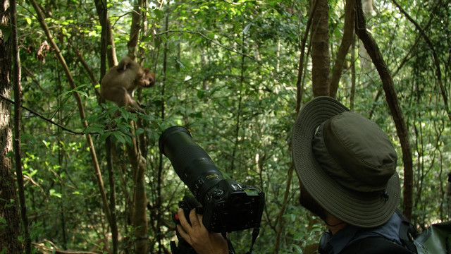 Full Frame Photo Mission