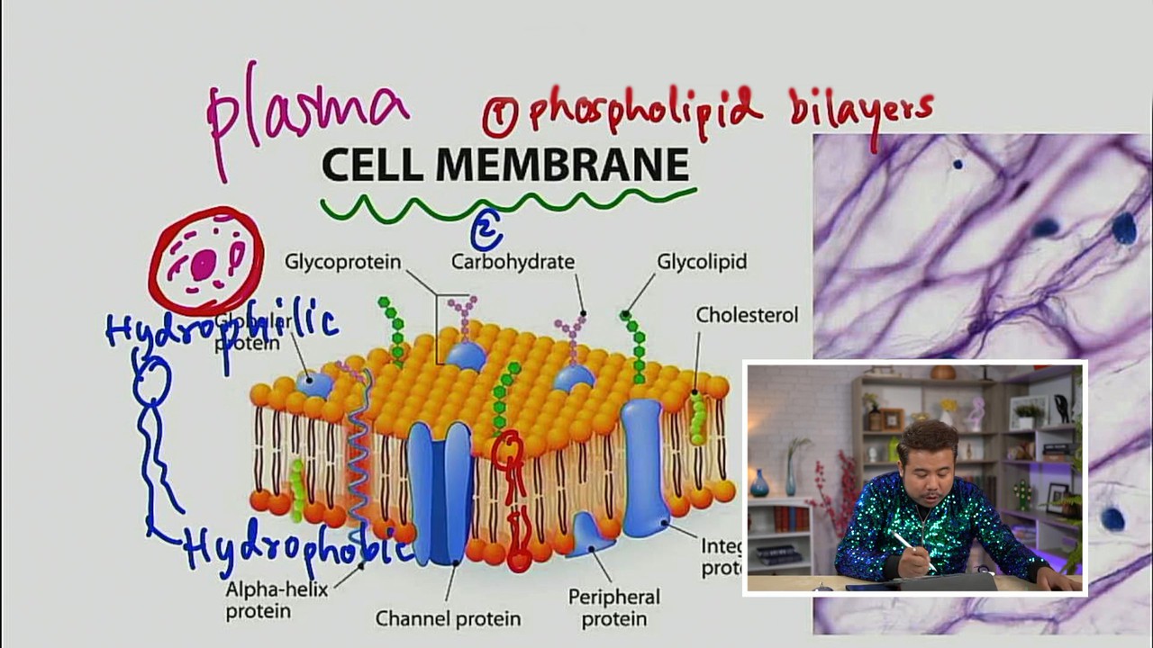 ชีววิทยา : ติวข้อสอบ เซลล์และการทำงานของเซลล์