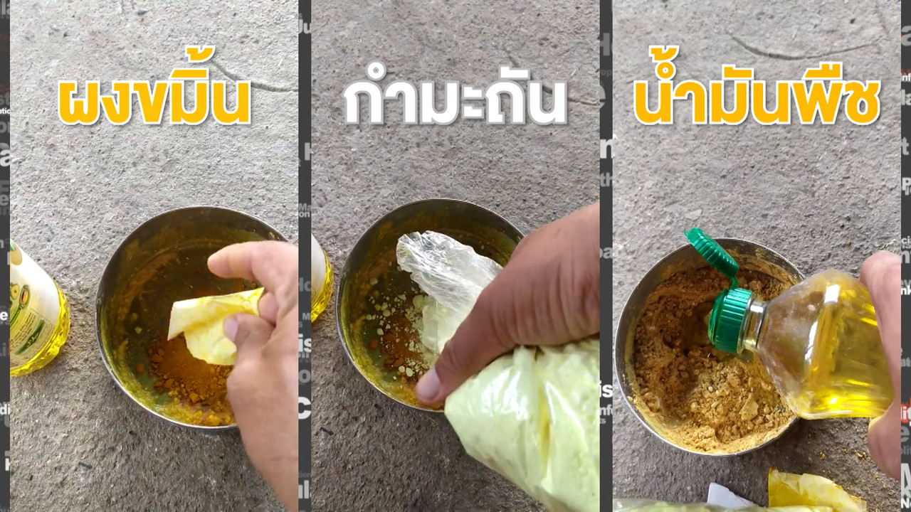 ชัวร์หรือมั่ว : สูตรยารักษาโรคขี้เรื้อนให้สุนัข