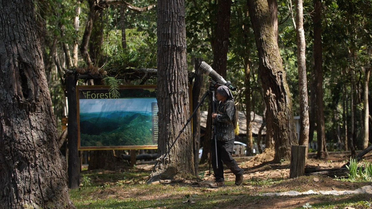 เขตรักษาพันธุ์สัตว์ป่าภูเขียว ตอนที่ 3