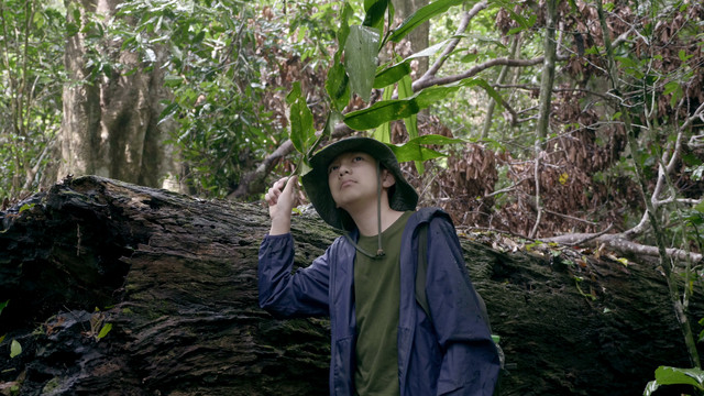 The Survival วัยซนผจญภัย