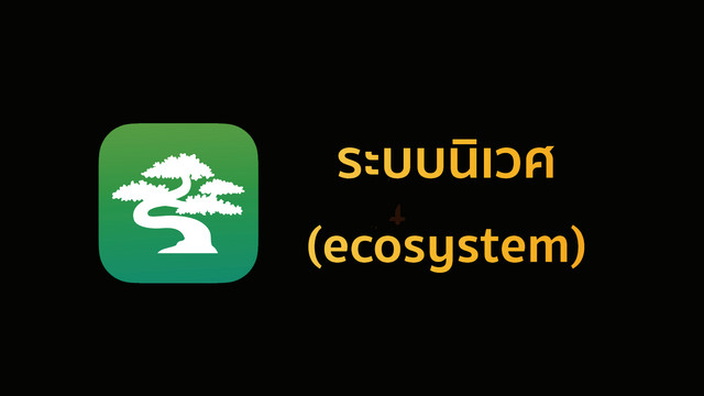 ห้องเรียนติวเข้ม ม.3 เข้า ม.4