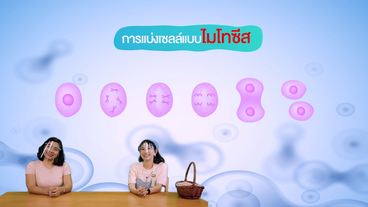 เซลล์น้อยแยกร่าง