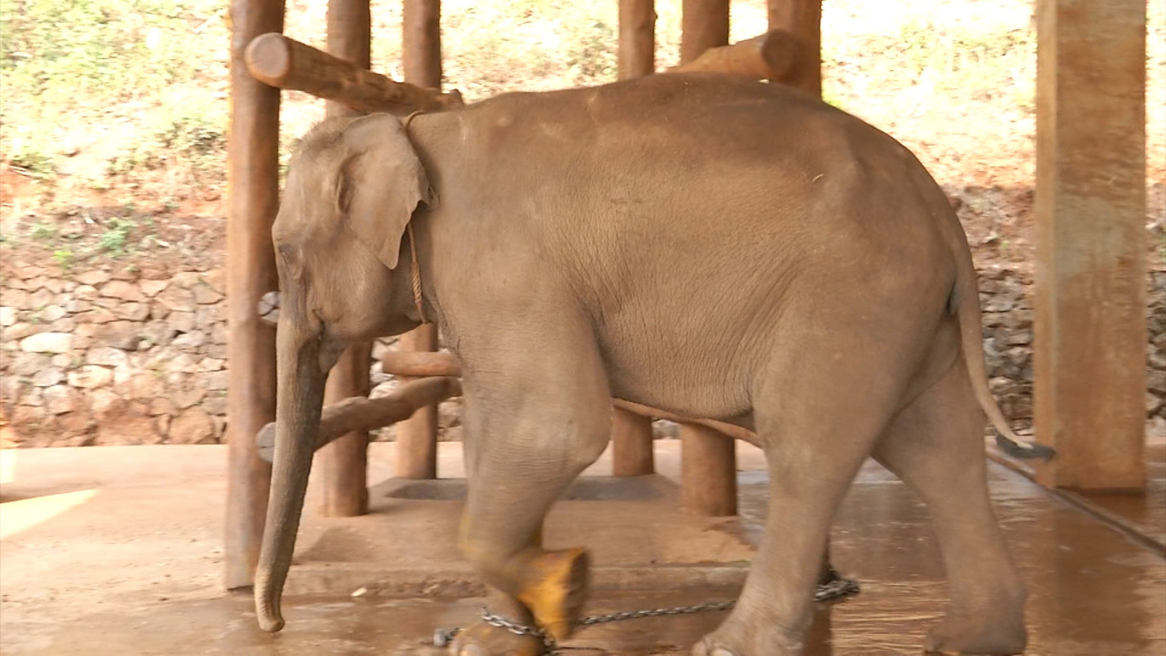 เวลาเพลินข่าว (14 เม.ย. 64)