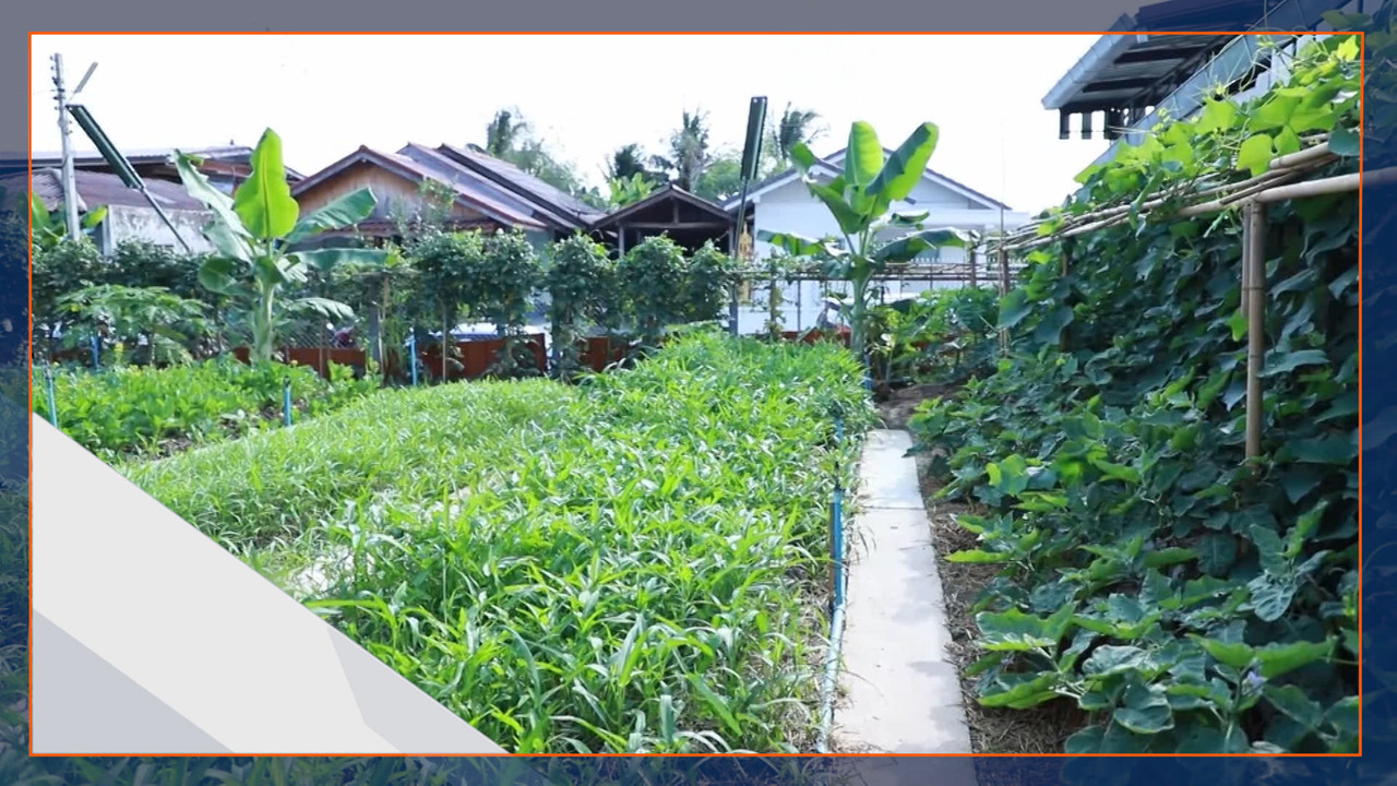 เปลี่ยนสถานีตำรวจเป็นแปลงเกษตร จ.กาญจนบุรี
