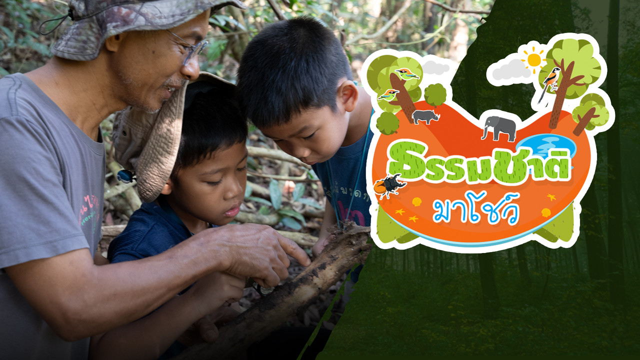 เรียนรู้สิ่งมีชีวิตต่าง ๆ  ตามธรรมชาติ